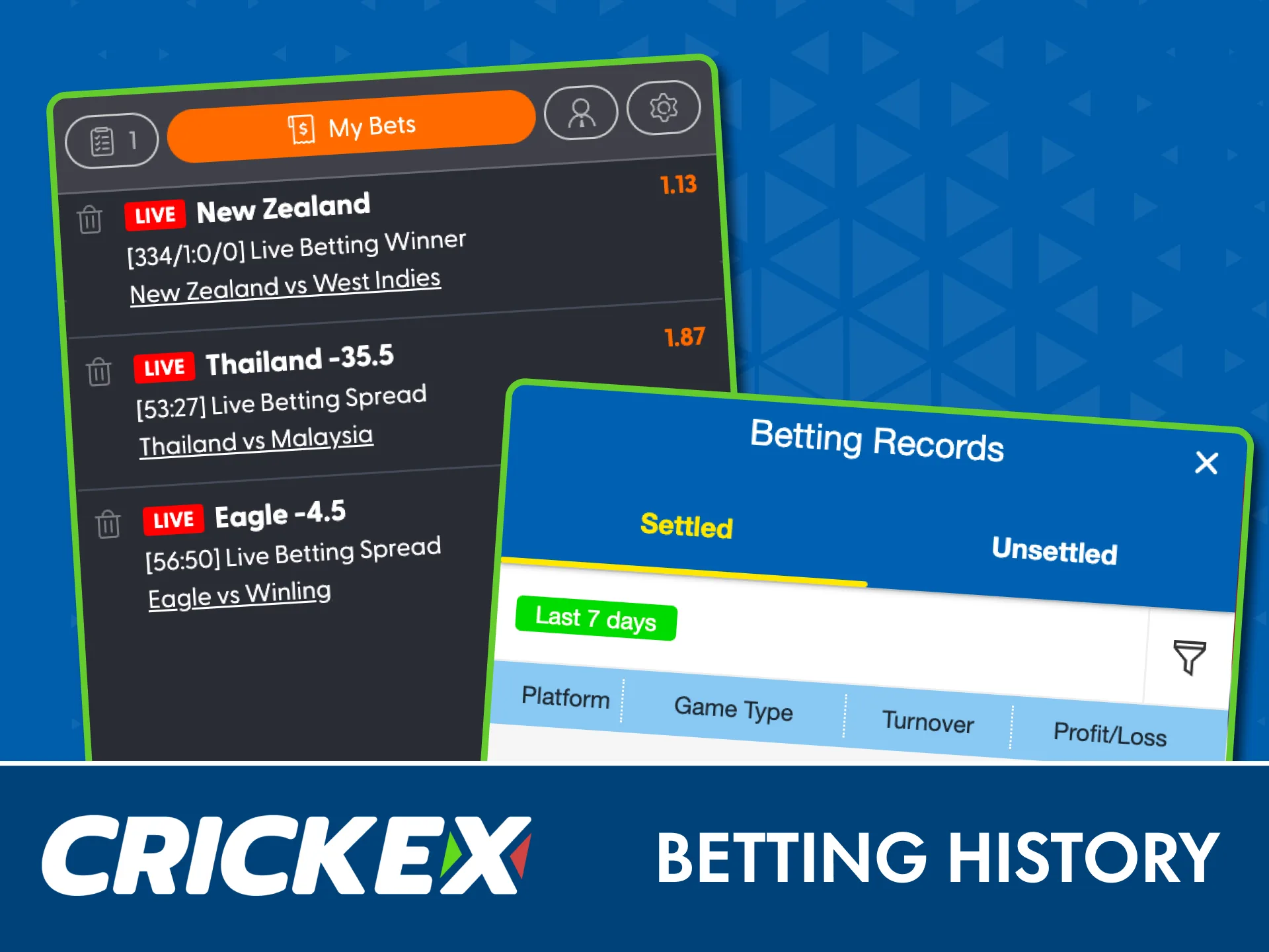 View your complete betting and financial history on Crickex for full control.
