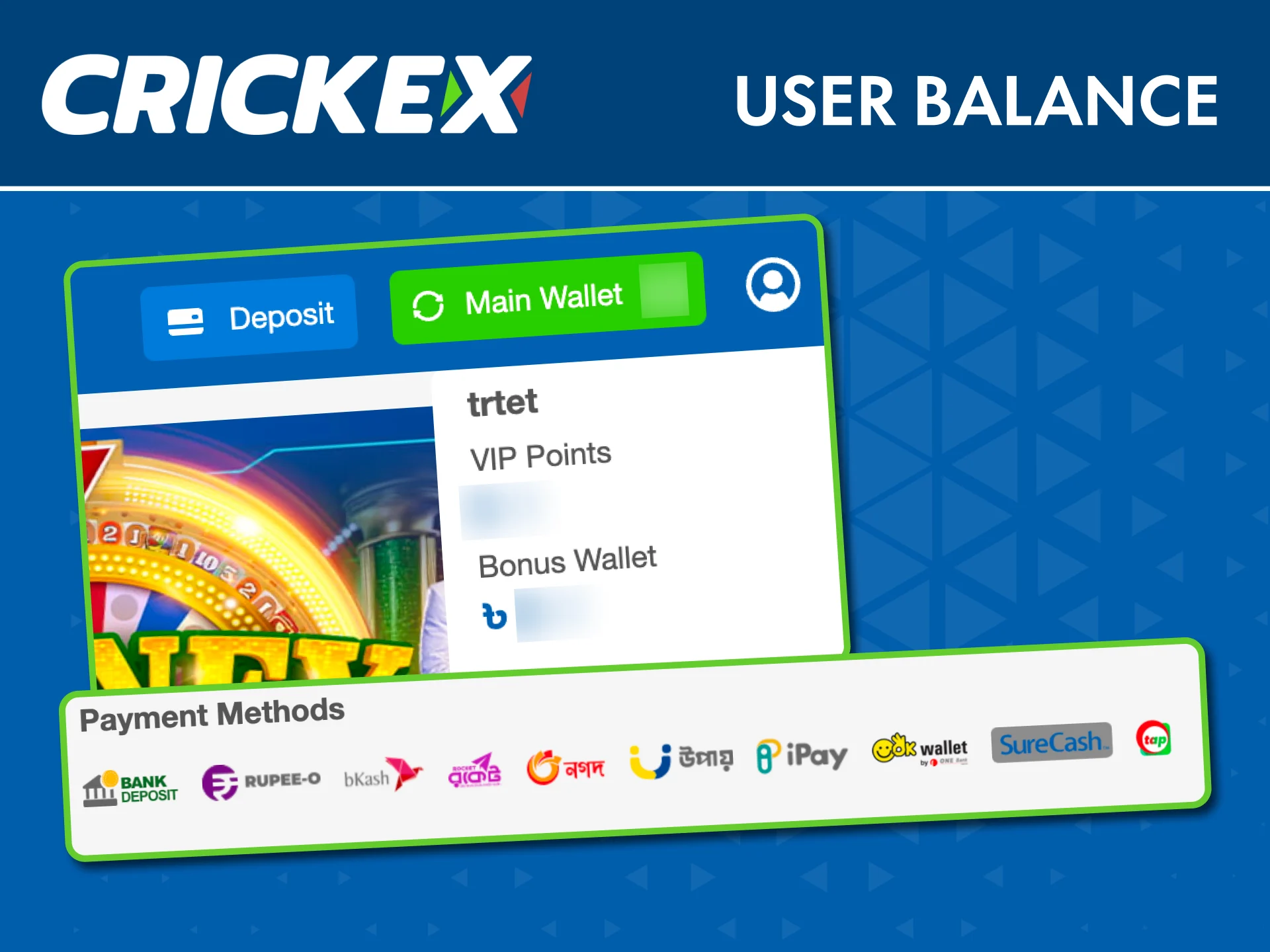 See bonuses and main balance together in your Crickex account.